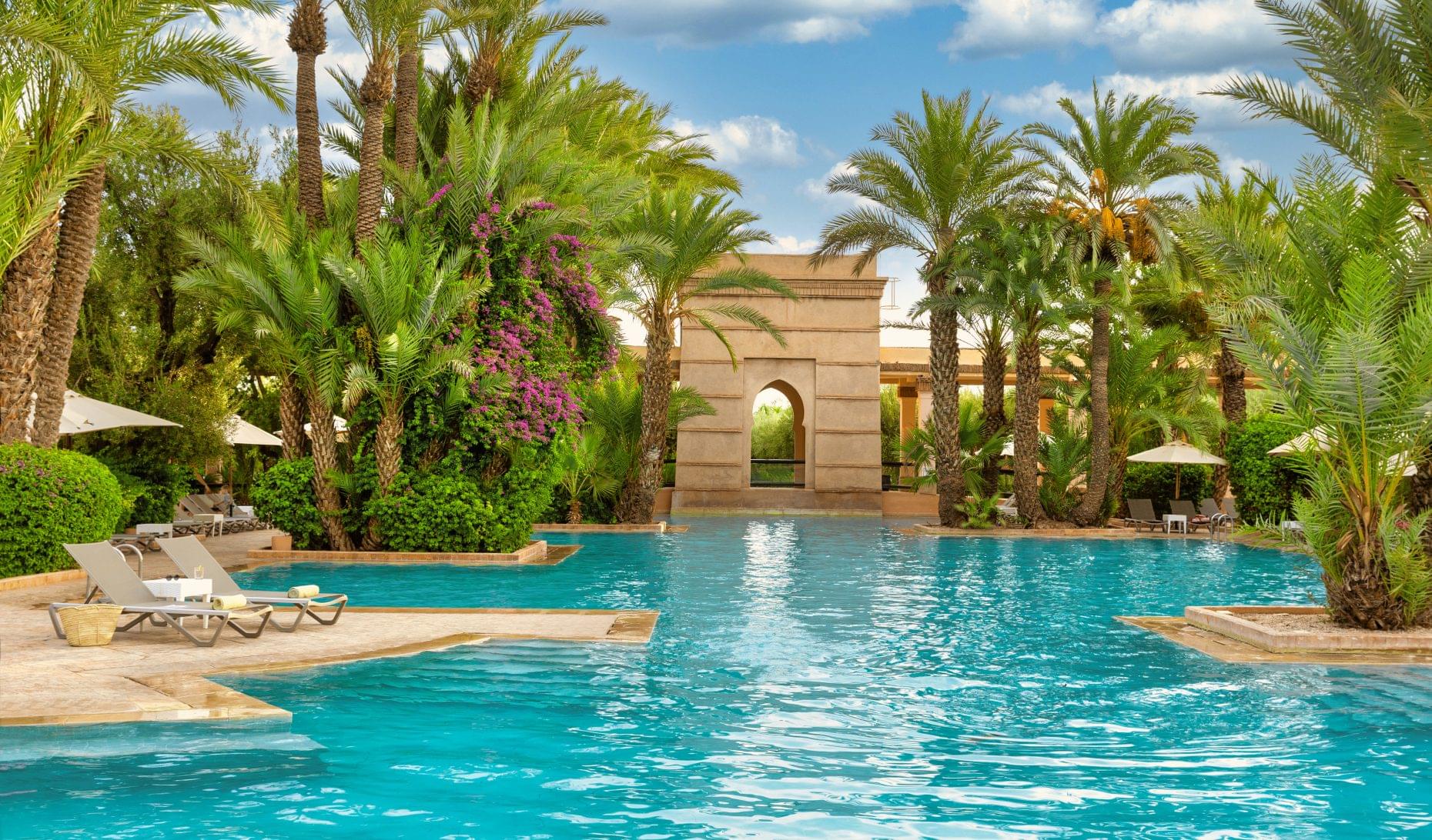 La palmeraie de Marrakech